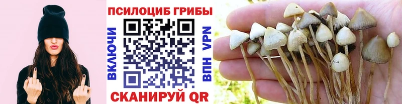закладка  Салехард  Псилоцибиновые грибы ЛСД 